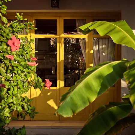 Seaview Yannis Villa Zakynthos